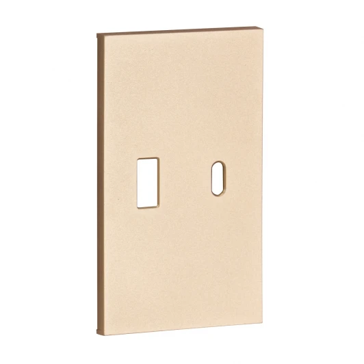 ACH12C USB+type С, накладка 2-ух модульная шампань матовый Meiton ACH12C