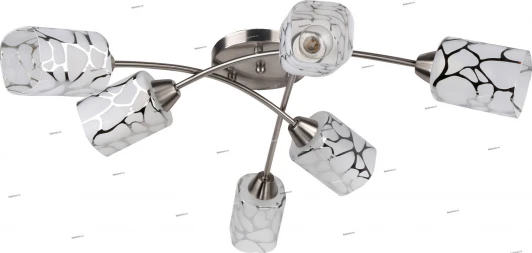 119/6P Myone 119 119/6P