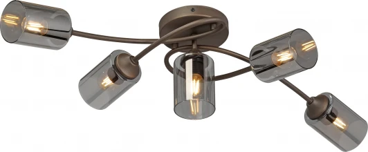 V2048-7/5PL Потолочная люстра Vitaluce V2048-7/5PL (220V)