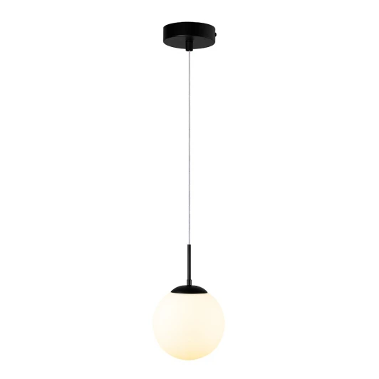 A1565SP-1BK Подвесной светильник Arte Lamp A1565SP-1BK