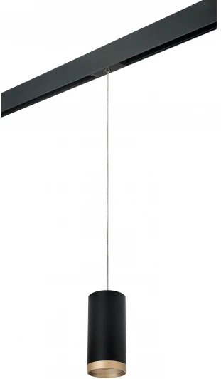 PRORP648790 Трековый светильник однофазный 220V Lightstar Rullo PRORP648790 (круглые)