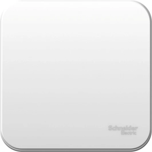 BLNVA061001 Выключатель накладной одноклавишный (белый) Systeme Electric Blanca BLNVA061001