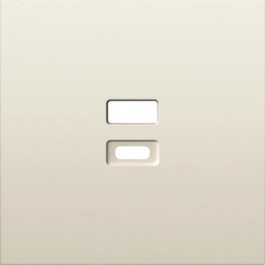 DS28655 Накладка для розеток USB, слоновая кость Donel S08 DS28655