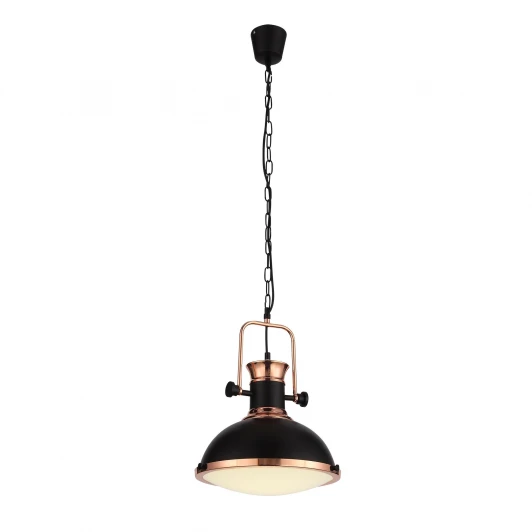SL404.403.01 Подвесной светильник ST Luce SL404.403.01