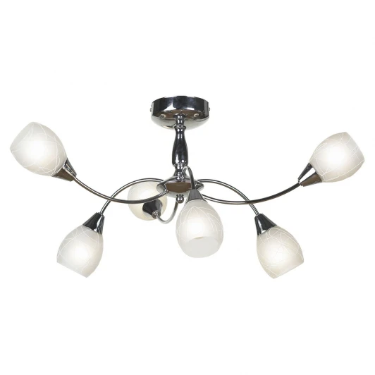 LSF-1803-06 Потолочная люстра Lussole Suno LSF-1803-06