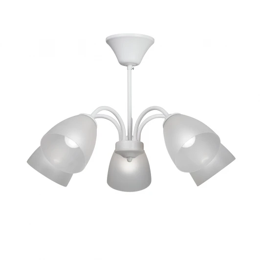 V3754-0/5PL Потолочная люстра Vitaluce V3754-0/5PL