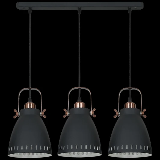 08026-0.9-03 BK Подвесной светильник Reluce 08026-0.9-03 BK (220V, на проводе)