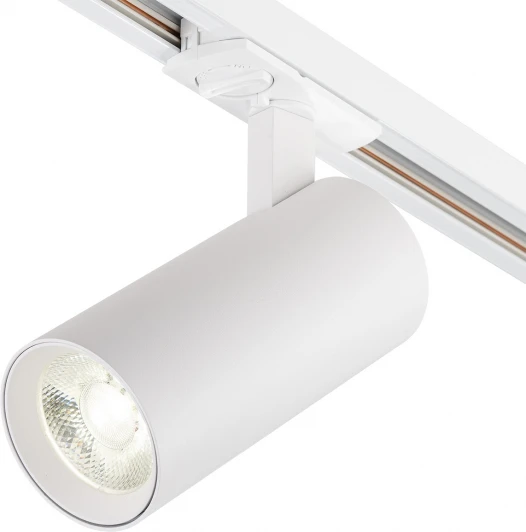 20002TRA/04LED SWH Трековый светильник однофазный Escada 20002 20002TRA/04LED SWH 30Вт, металл, белый матовый (220V, круглые)