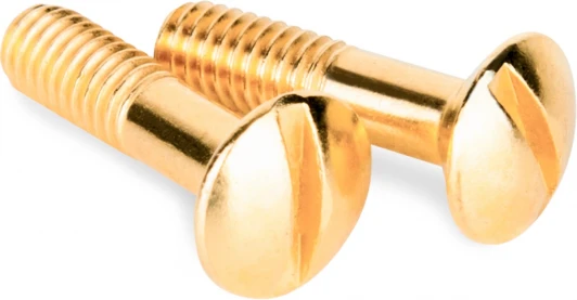 WL18-22-01 Комплект винтов для распределительной коробки или TV-розетки 2 шт. (золото) Werkel WL18-22-01 (a038396)