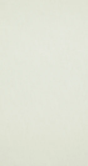 BN 17124 Рулонные обои BN International Van Gogh 2 BN 17124