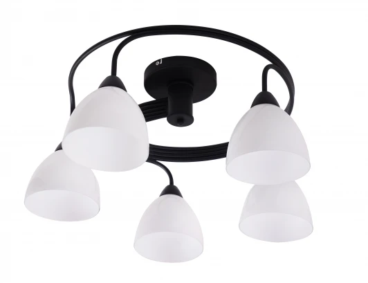 1756/5C Потолочная люстра J-Light Fordy 1756/5C