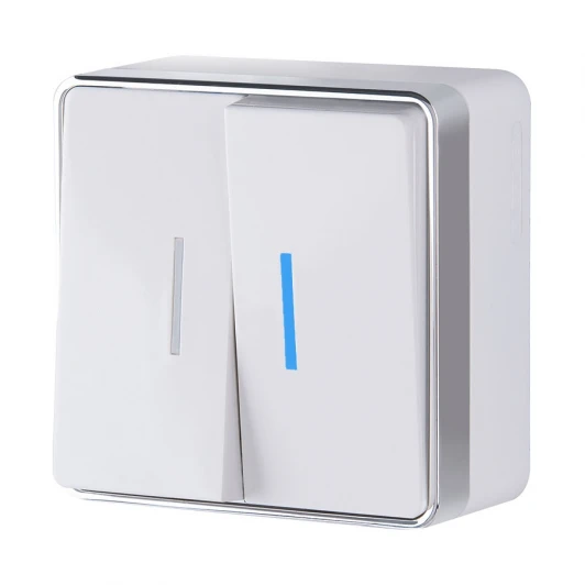 W5020101 Выключатель двухклавишный с подсветкой Gallant (белый) Werkel W5020101 (a051586)