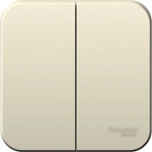 BLNVA105002 Выключатель накладной двухклавишный (молочный) Systeme Electric Blanca BLNVA105002