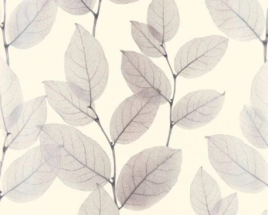 34247-2 Обои виниловые A.S. Creation X-Ray 34247-2 10,05 x 0,53 м