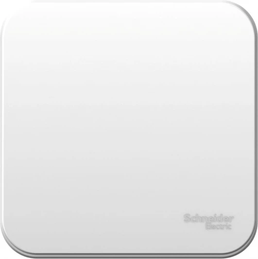 BLNVA106011 Выключатель накладной одноклавишный (белый) Systeme Electric Blanca BLNVA106011