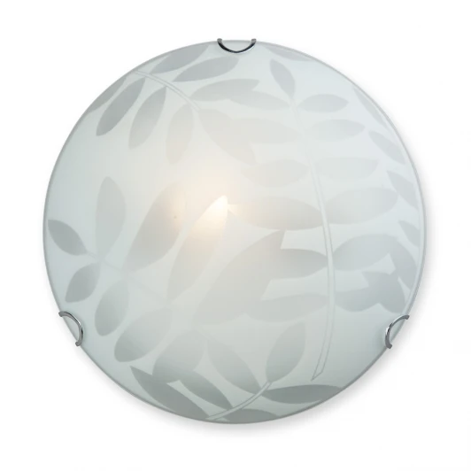 V6423/1A Настенно-потолочный светильник Vitaluce V6423/1A