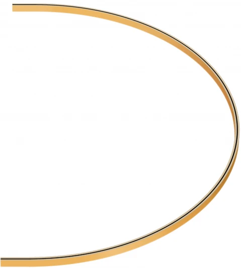 ST025.229.00 Шинопровод магнитный-полукольцо ST Luce Farm ST025.229.00 Золотистый