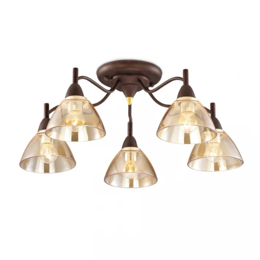 2625/5C Потолочная люстра Odeon Light Treves 2625/5C