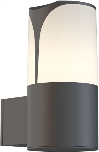 O016WL-01B Настенный светильник уличный Maytoni Piccadilly O016WL-01B (220V, IP44)