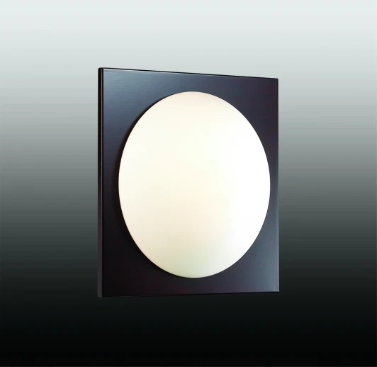 2763/1C Настенно-потолочный светильник Odeon Light Brido 2763/1C