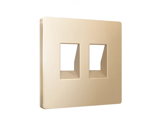 AP6121 Лицевая панель для Ethernet RJ-45/телефонной RJ-11 двойной розетки (шампань) Ambrella Volt QUANT AP6121