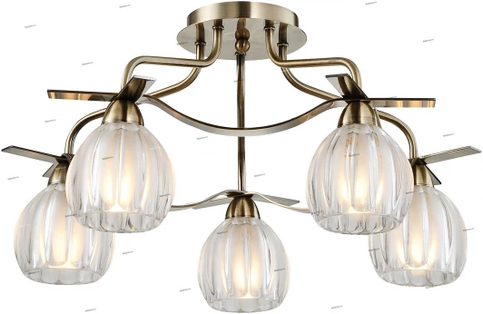 2300010/5C Snowlight 2300010 2300010/5C