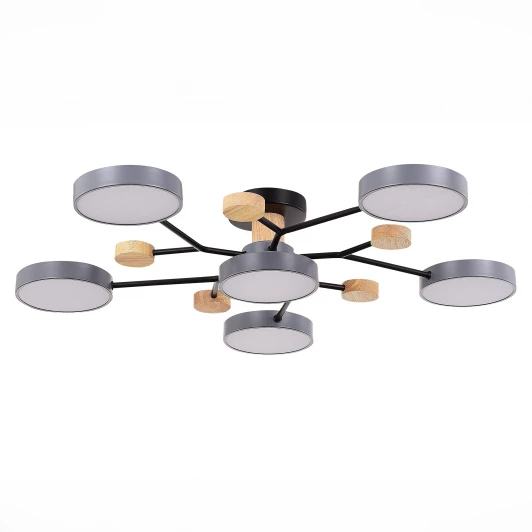 SLE6006-702-06 Потолочная люстра на штанге Evoluce Faema SLE6006-702-06