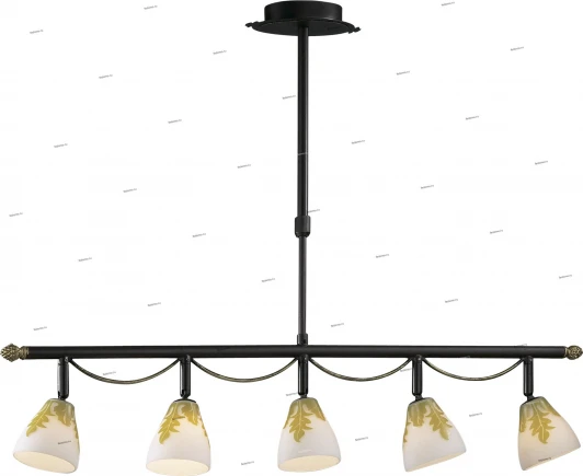 2146/5 Подвесной светильник Odeon Light Canto 2146/5