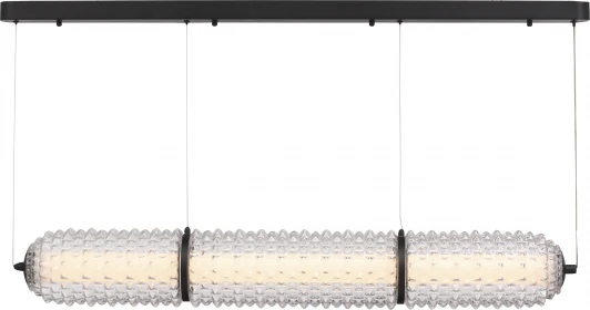 SL6144.413.01 Подвесной светильник ST Luce Saguaro SL6144.413.01 черный/прозрачный LED 1*37W 4000K (220V, на тросе)