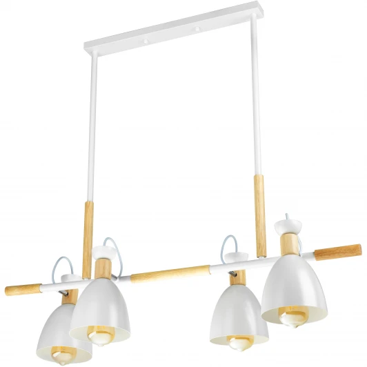 52501 1 Потолочная люстра на штанге Ritter Volante 52501 1