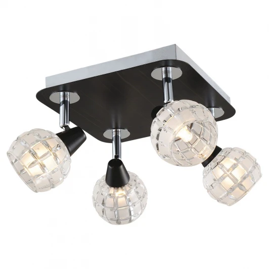 LSL-8601-04 Потолочный светильник Lussole Silandro LSL-8601-04