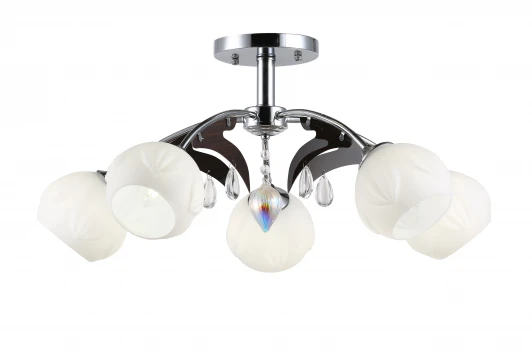 1039/5C Потолочная люстра J-Light Holla 1039/5C