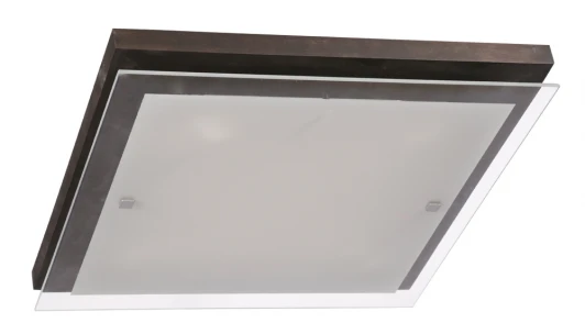 106-41-24/2H Настенно-потолочный светильник Дубравия Эко 106-41-24/2H