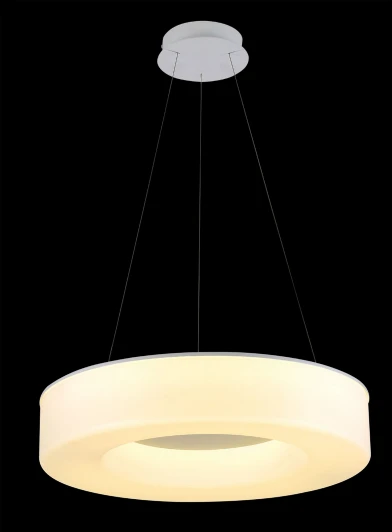 SL886.503.01 Подвесной светильник ST Luce SL886 SL886.503.01