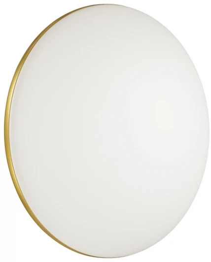 3043/DL Настенно-потолочный светильник Sonex Lassa 3043/DL (регулировка яркости, LED, 220V, пульт управления, управление смартфоном, умный дом - LampSmart, круглые, IP43)