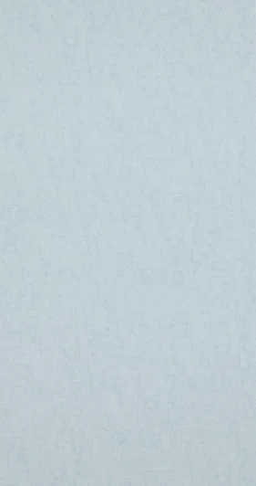 BN 17114 Рулонные обои Van Gogh 17114