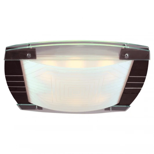 2020106 Потолочный светильник MW-Light Чаша 2020106