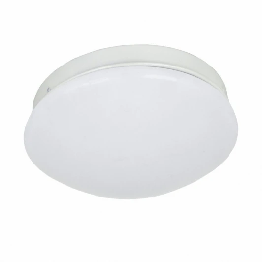 2469-1C Потолочный светильник F-Promo Ledante 2469-1C