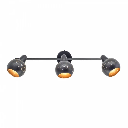 CL504532 Спот Citilux Деко CL504532