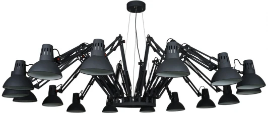 A2043SP-16BK Подвесная люстра Arte Lamp Ragno A2043SP-16BK
