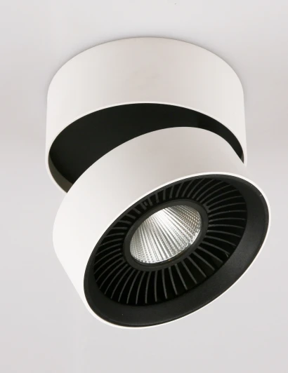 DL18409/11WW-R Настенно-потолочный светильник Donolux DL18409 DL18409/11WW-R