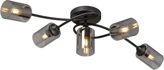 V2048-1/5PL Потолочная люстра Vitaluce V2048-1/5PL (220V)