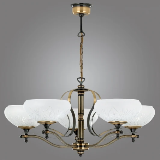 RAW50/P Подвесная люстра Kemar Randona RAW50/P