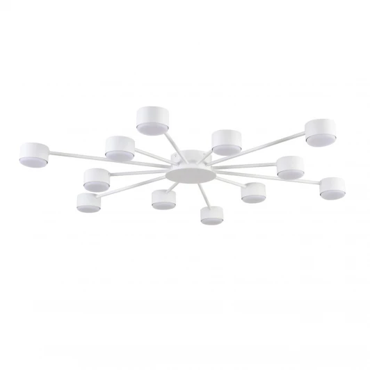 8343/12C Потолочная люстра Lumion Torina 8343/12C белый, металл GX53 LED 12*7W 220V