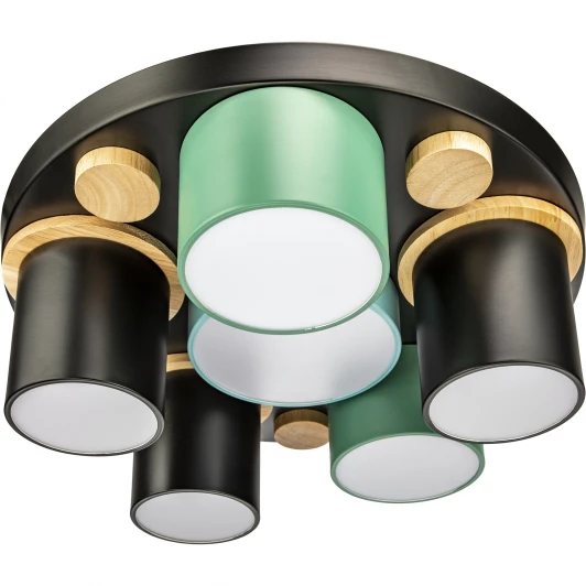 52075 7 Потолочный светодиодный светильник с ДУ Ritter Scandia 52075 7