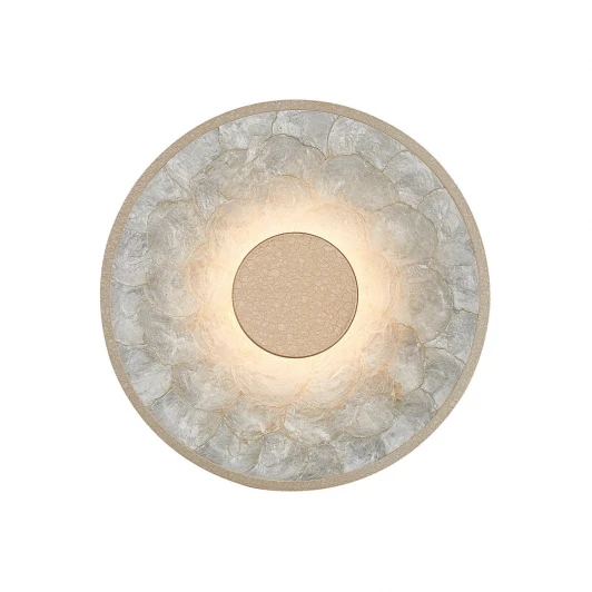 4858-1W Настенный светильник светодиодный Favourite Solarius 4858-1W LEDx20W 3000K