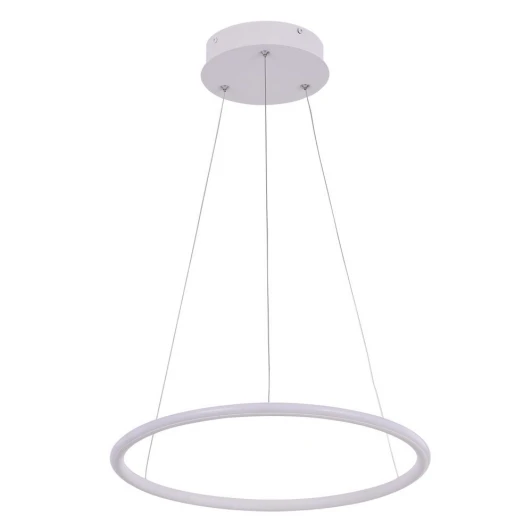 A2500SP-1WH Подвесной светильник Arte Lamp Rapid A2500SP-1WH
