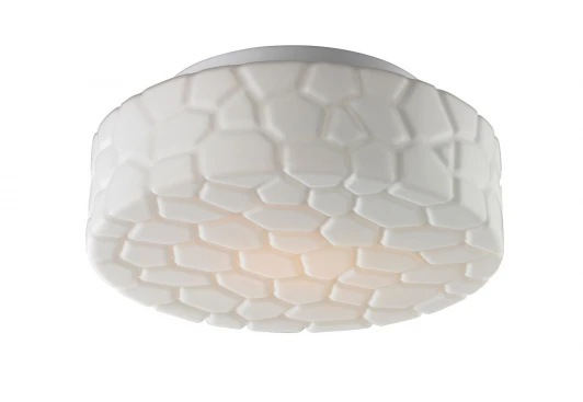 A5325PL-2WH Потолочный светильник Arte Lamp Aqua A5325PL-2WH