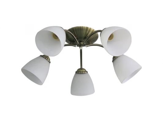 1515/5C Потолочная люстра J-Light Nina 1515/5C