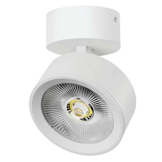 A5636SO Спот накладной LED 30W с накладной чашей Lightstar Alta Pro A5636SO